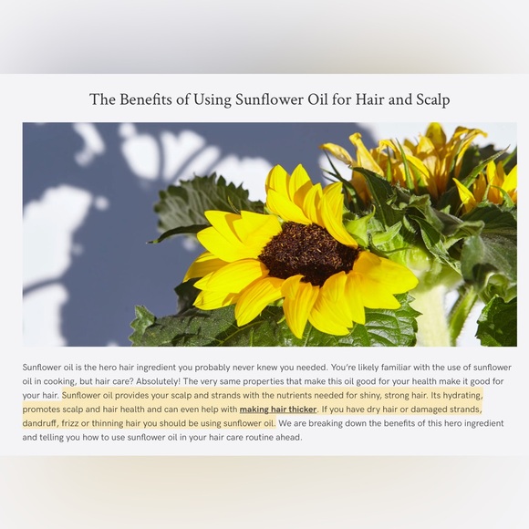 TWO Pack SUNFLOWER Oil Infused Intense Daily Conditioner - Picture 2 of 9